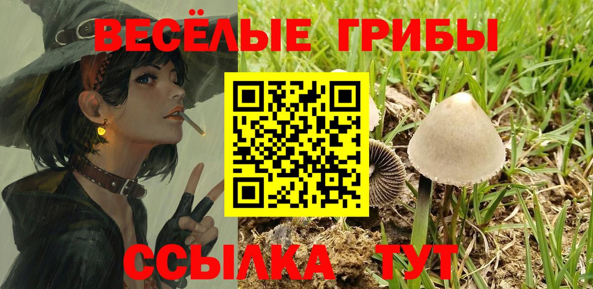продажа наркотиков  Вход с VPN  Вятские Поляны  Галлюциногенные грибы ЛСД 